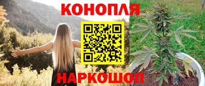 mix Славгород