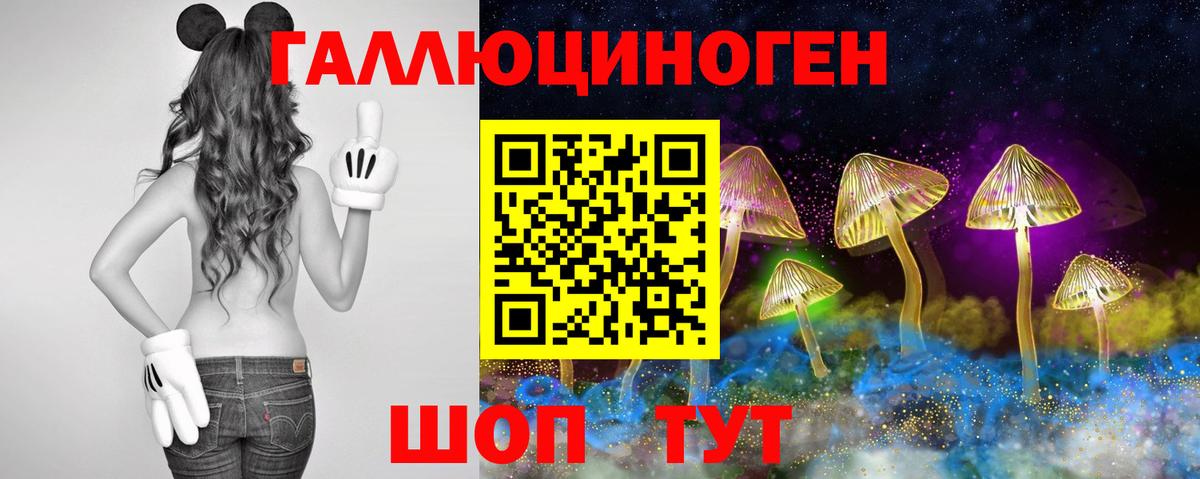 Псилоцибиновые грибы Cubensis  Вход с VPN  закладка  Саранск 