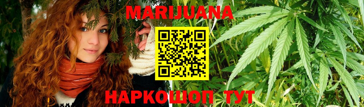 Каннабис сатива Саранск
